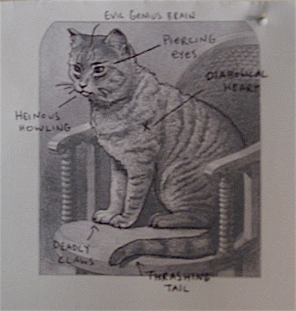 The Unbearable Lightness of Being Alone