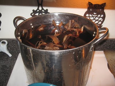 Adventures in Papermaking–Fiber #3